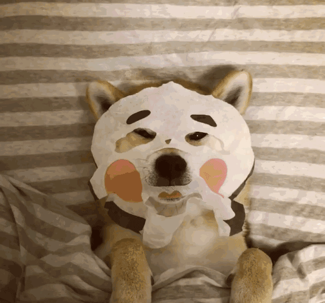 从心理学角度解释怎么会成为"脑残粉"?