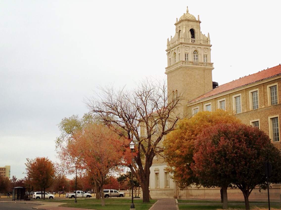 除了女篮称为lady raiders以外,所有队伍皆为red raiders