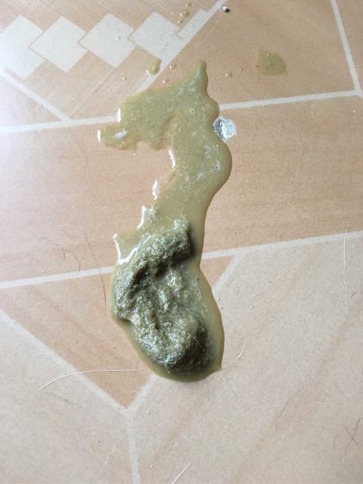 我家猫深夜不知道咋了,而且已经有过好几次了,都是在深夜,这是咋了啊?