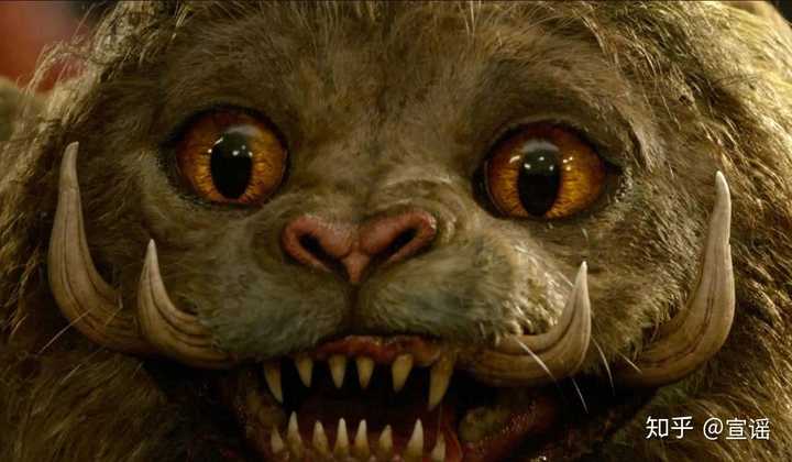 哪些电影有猫的镜头?