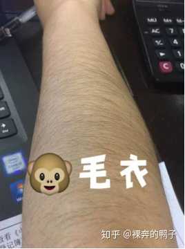 抹身体乳为什么会长腿毛(为什么身体乳用了腿毛会长长)
