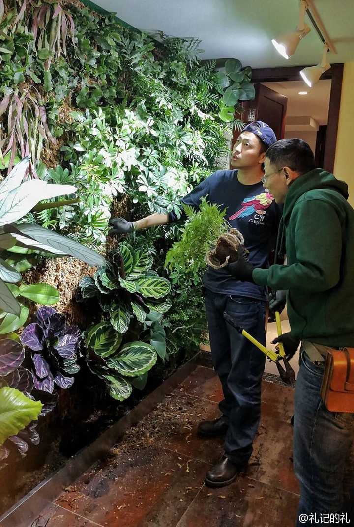 如何评价《最强大脑》中余奕沛的表现,他和水哥相比如