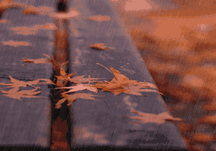 日语里有哪些很美的词 知乎