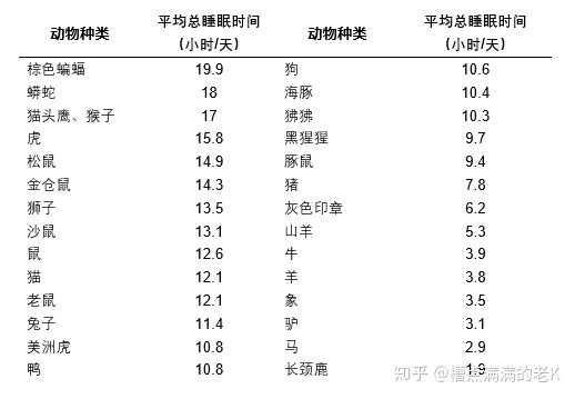 睡眠时间最大程度可以压缩到几小时 槽点满满的老k 的回答 知乎