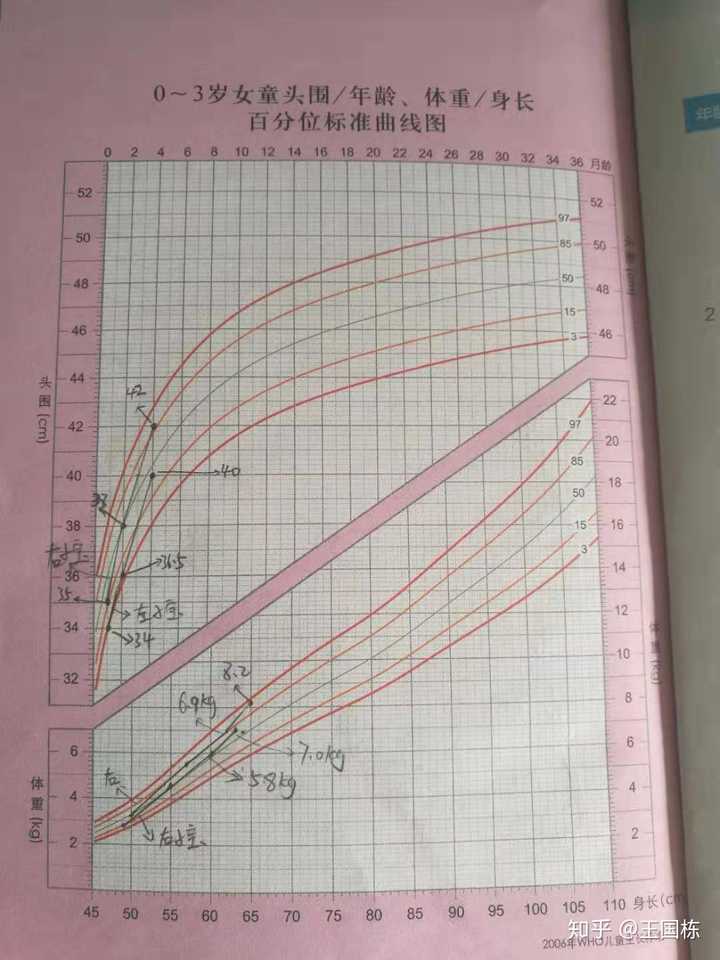 新生儿体重增长曲线图图片