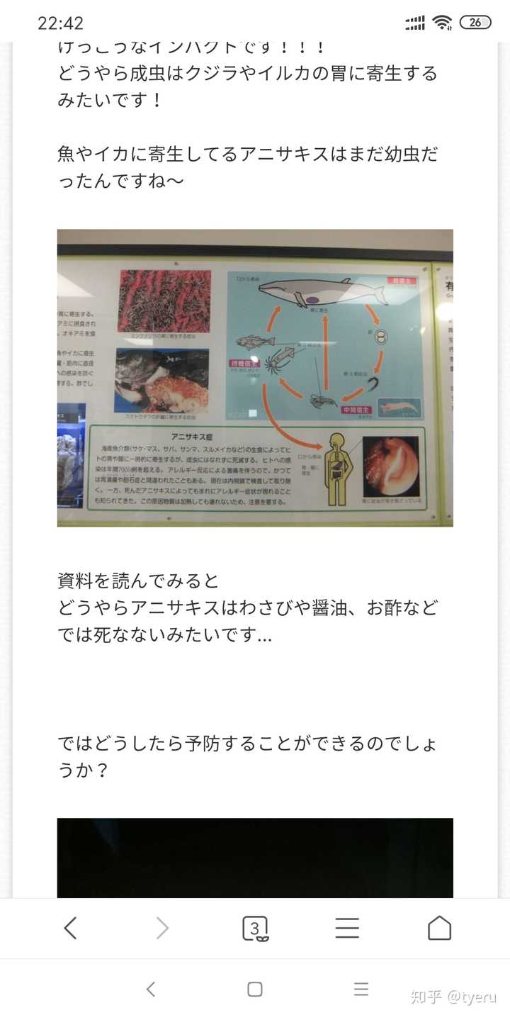 为什么日本人吃寿司不担心寄生虫 知乎