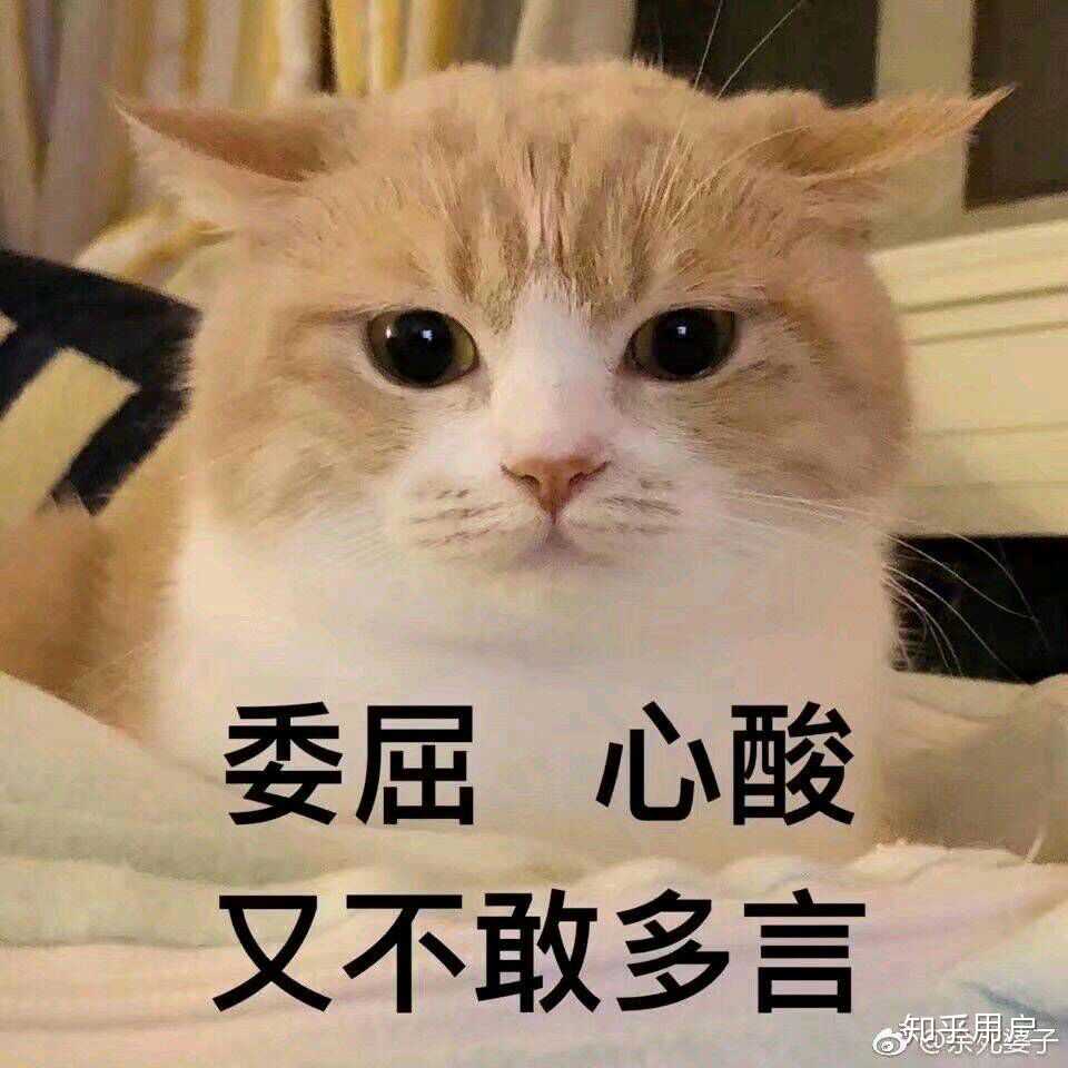 影視