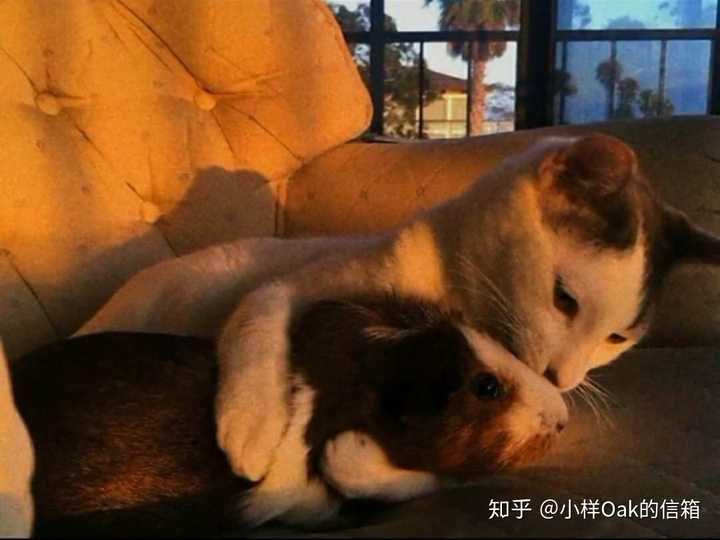 你们能送我一句加油的话吗?