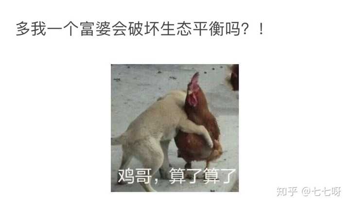 有什么让人一看就觉得“这个人好有意思啊”的文案?