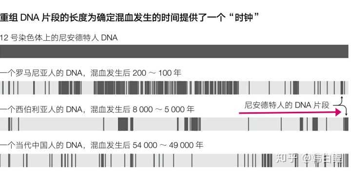 知乎