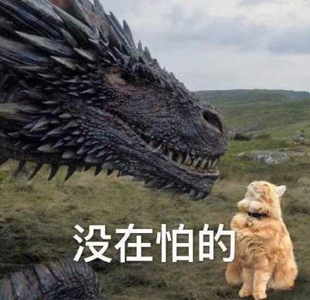 有没有那种既沙雕又搞怪的朋友圈文案?