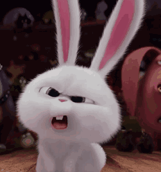 232_248gif 动态图 动图