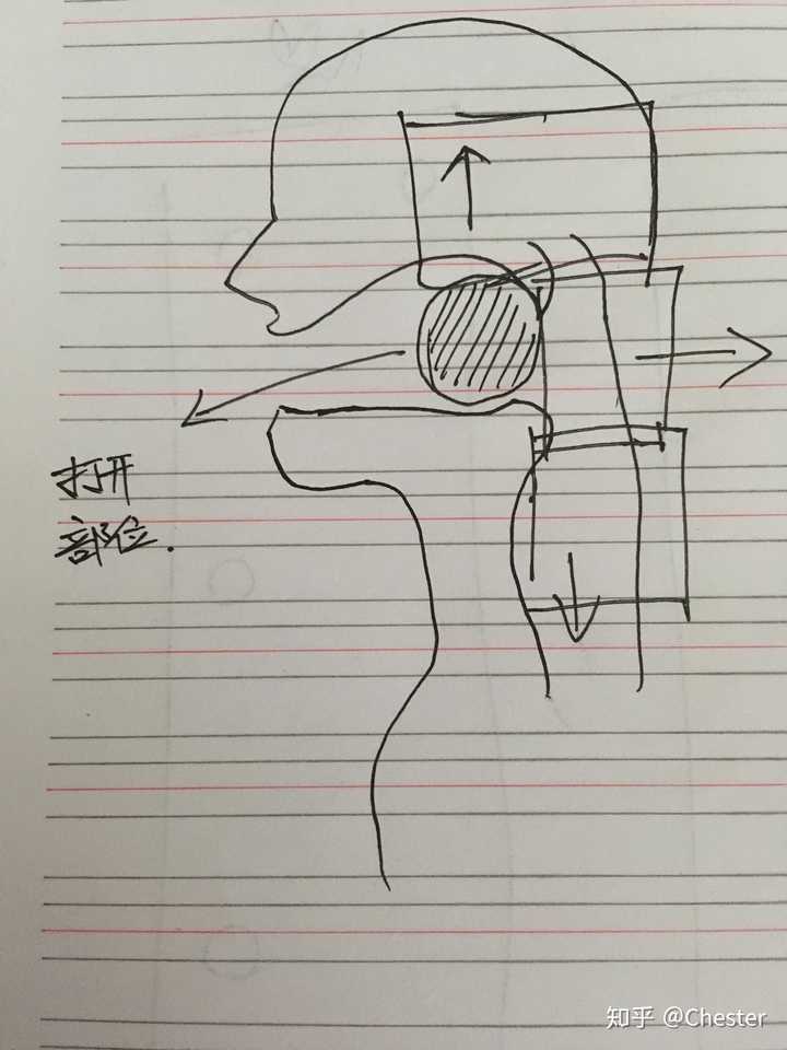  唱歌的时候说后要将口腔打开。后口腔和声带分别在什么位置呢? - 知乎 Bildidee 