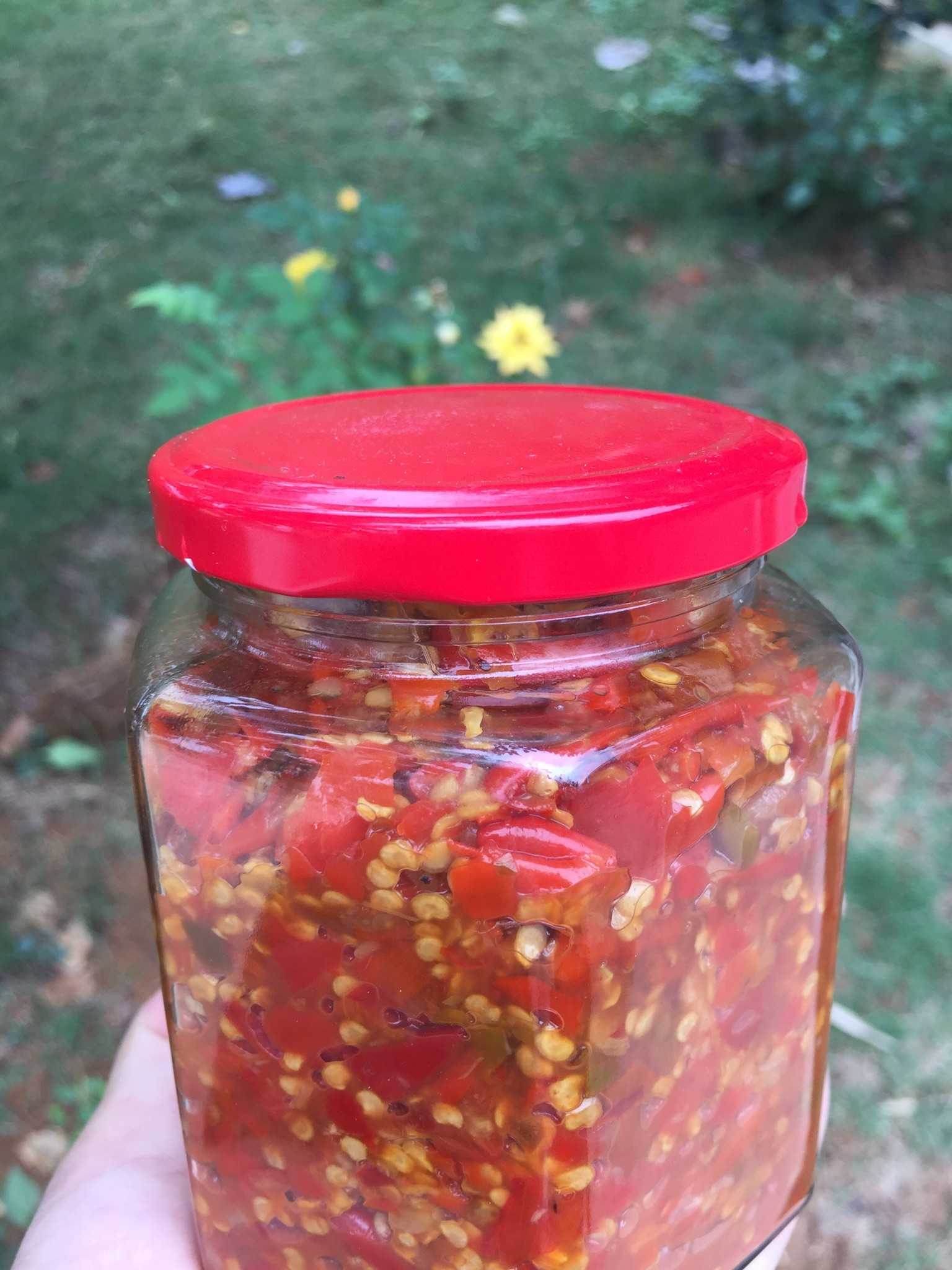 自己种的绿色有机无公害朝天椒,自己做的辣椒酱
