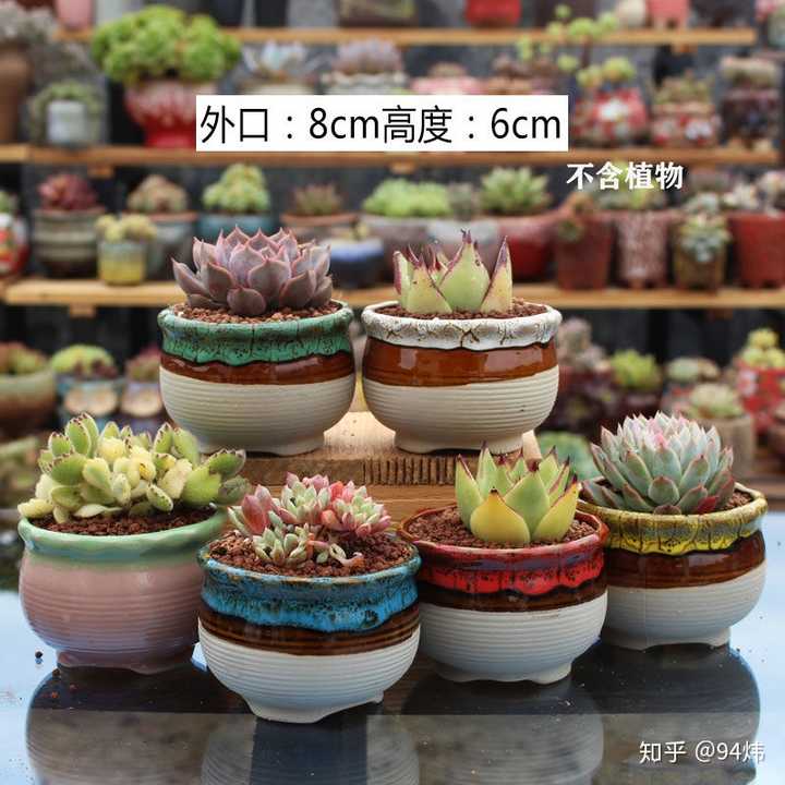 大家喜欢什么样的多肉花盆 知乎