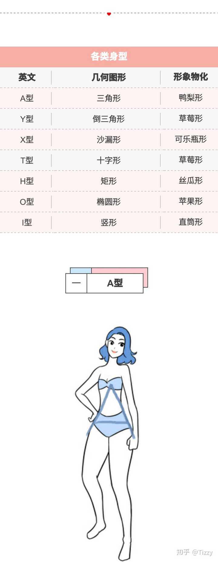 如何准确地识别自己的体型 知乎 如何准确地识别自己的体型 知乎
