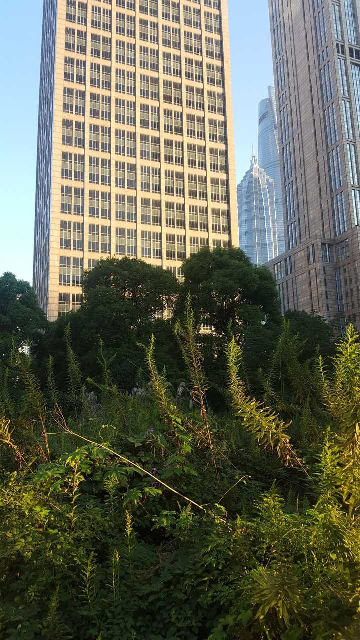 有人知道陆家嘴上海黄金置地大厦为何一直闲置吗?