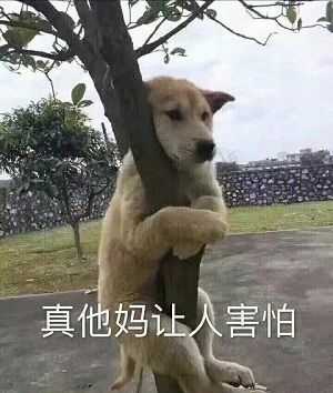 如何看待河北省三河市第八中学初一学生捅伤老师事件 知乎