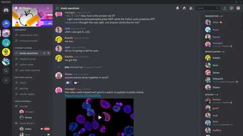 Discord 社交软件 知乎