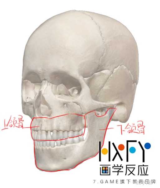 画画怎么练人体最有效呢? - 知乎