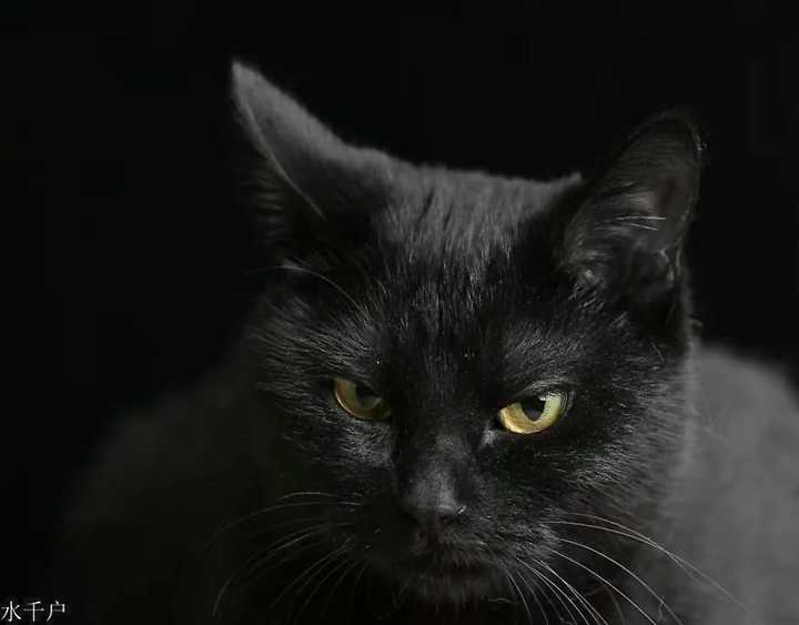 虽然那时候瘦且邋里邋遢,但眼神冷峻威严满满