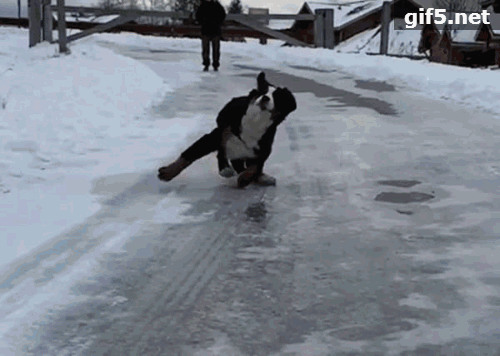 怎么在淘宝挑ugg雪地靴 知乎 怎么在淘宝挑ugg雪地靴 知乎