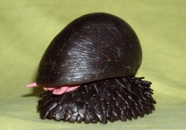 有哪些看起来不像地球生物,但又确实生在地球的动物?