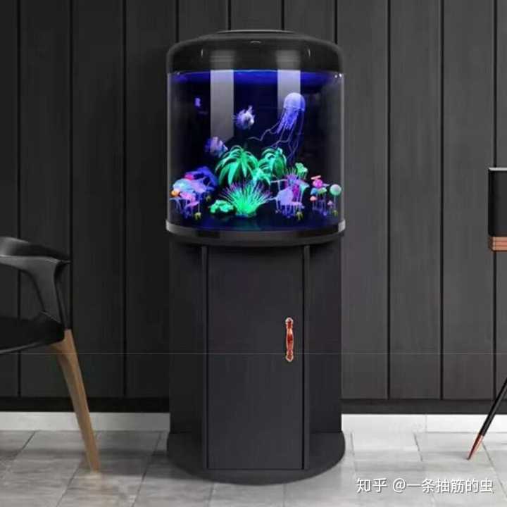 怎么选购鱼缸 知乎