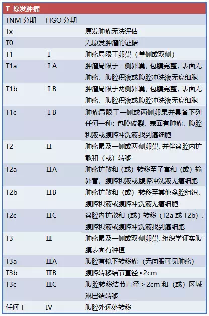 卵巢癌如何分期 知乎