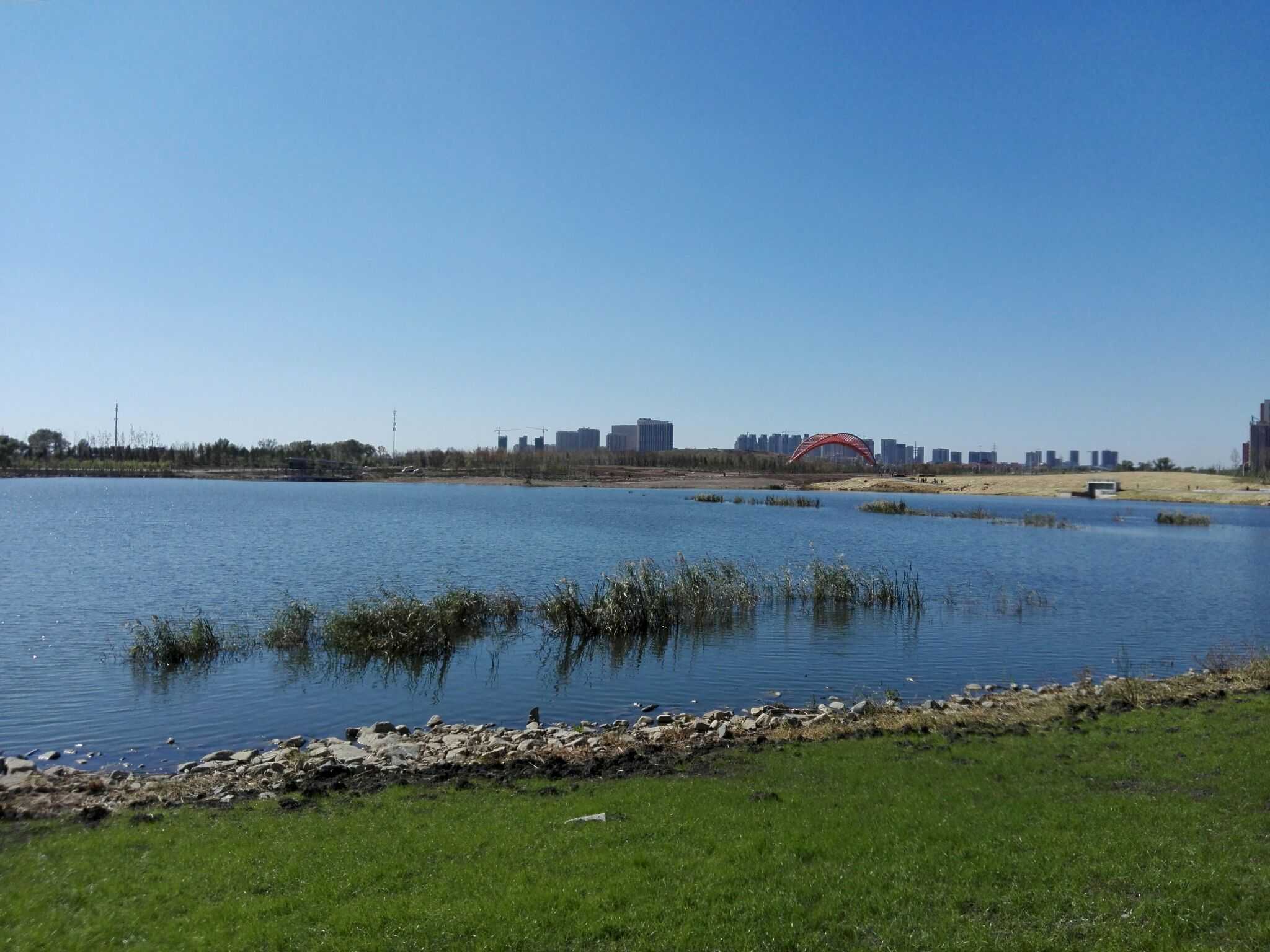 我有八天假期#长春南溪湿地公园