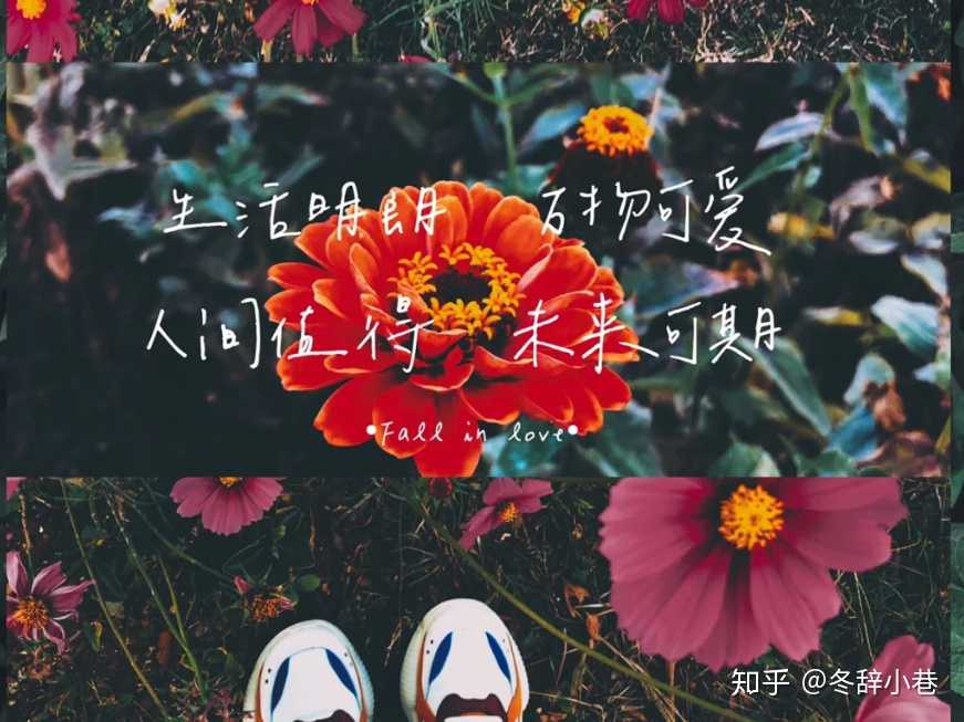 厉害了 的想法: 对生命而言,接纳才是最好的温柔,不论是… - 知乎