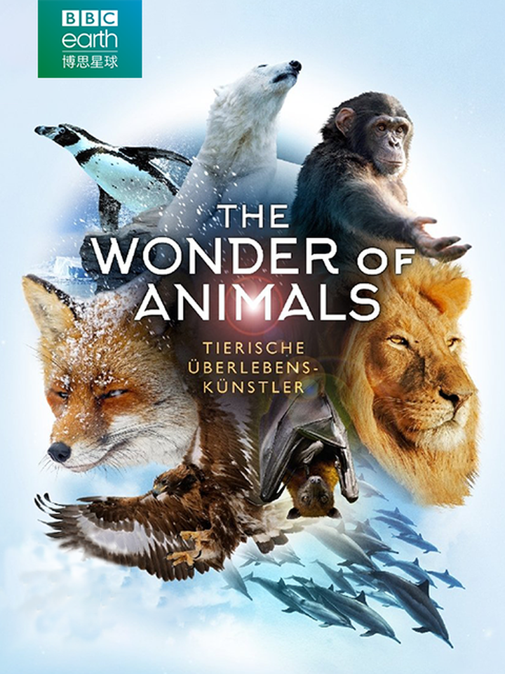 v2-4dcba471e525404eeac76b20be2c4368_720w.jpg?source=54b3c3a5