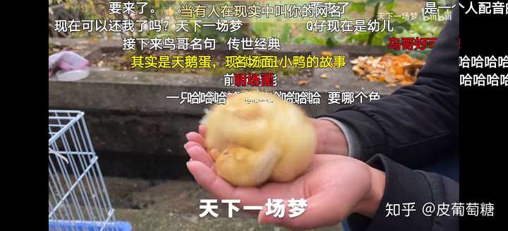 ｂ站有哪些有专属弹幕 梗 的up主 皮葡萄糖的回答 知乎