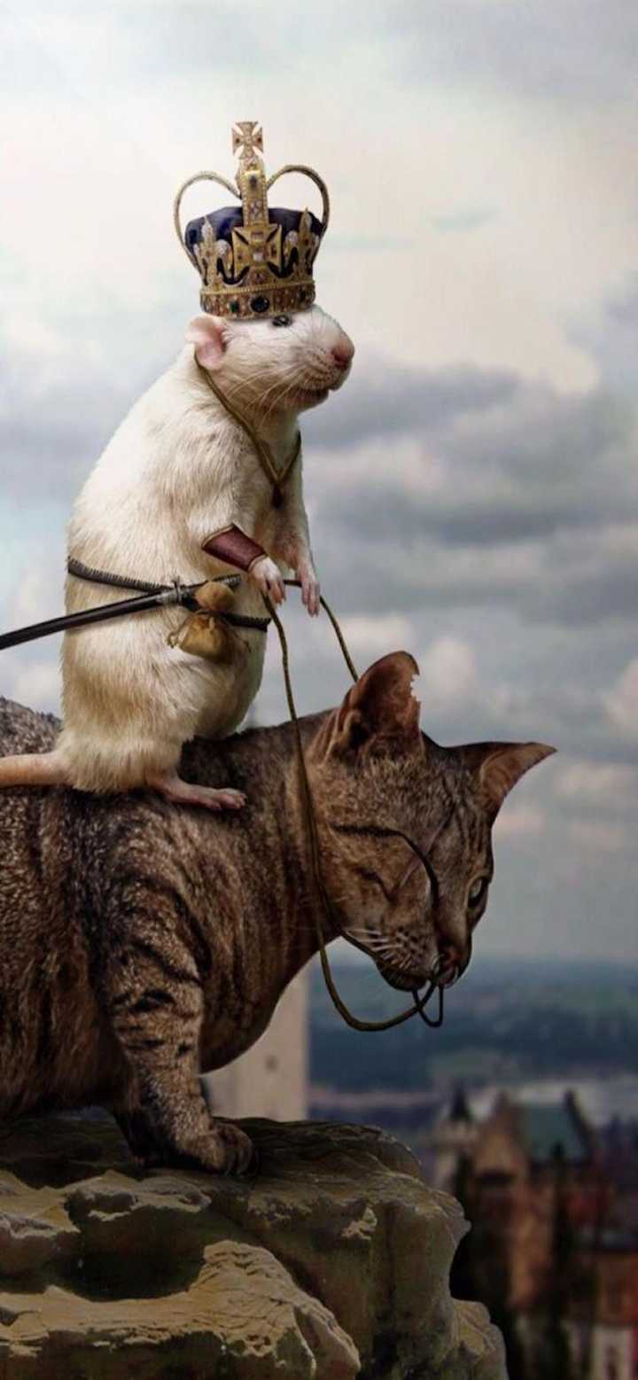 有华为mate30pro好看的壁纸嘛