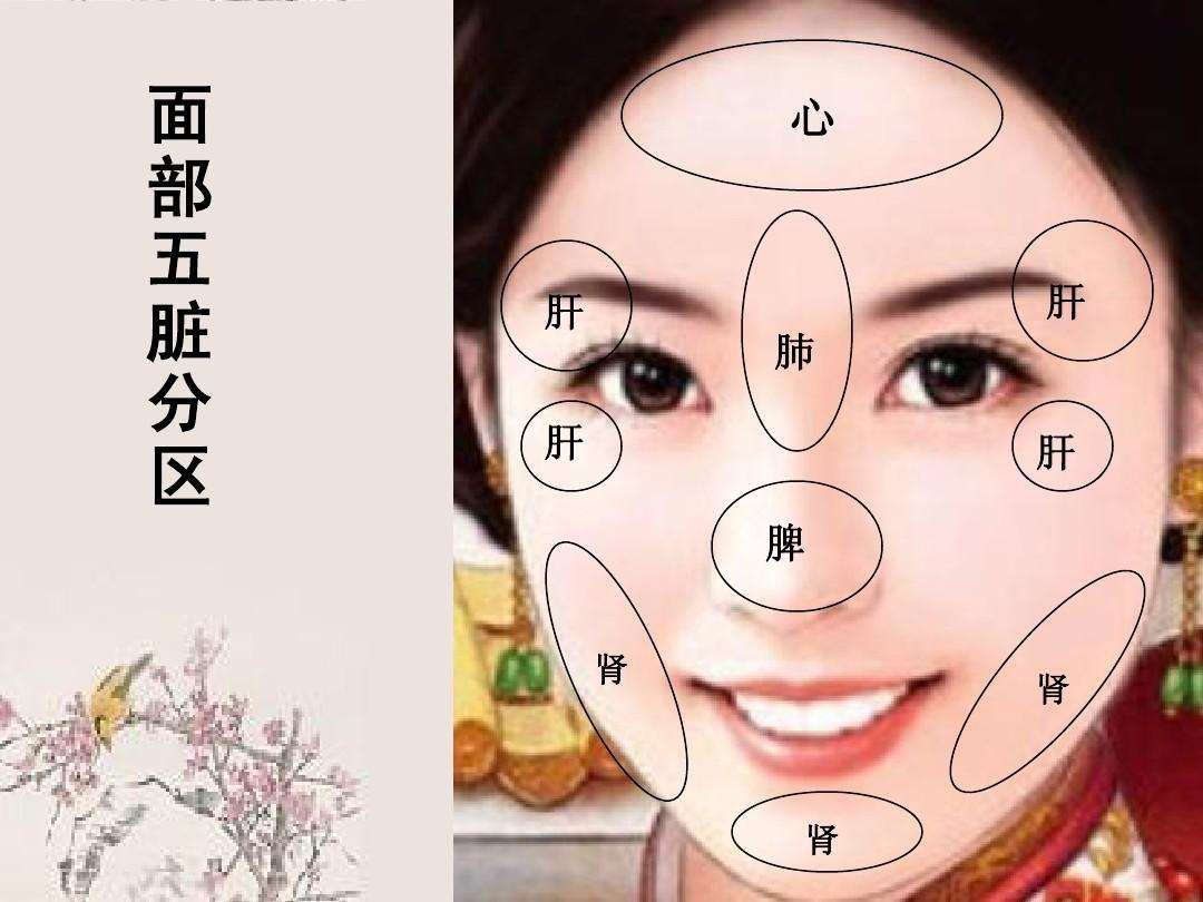 看五官知b情学会了你就是二代扁鹊了