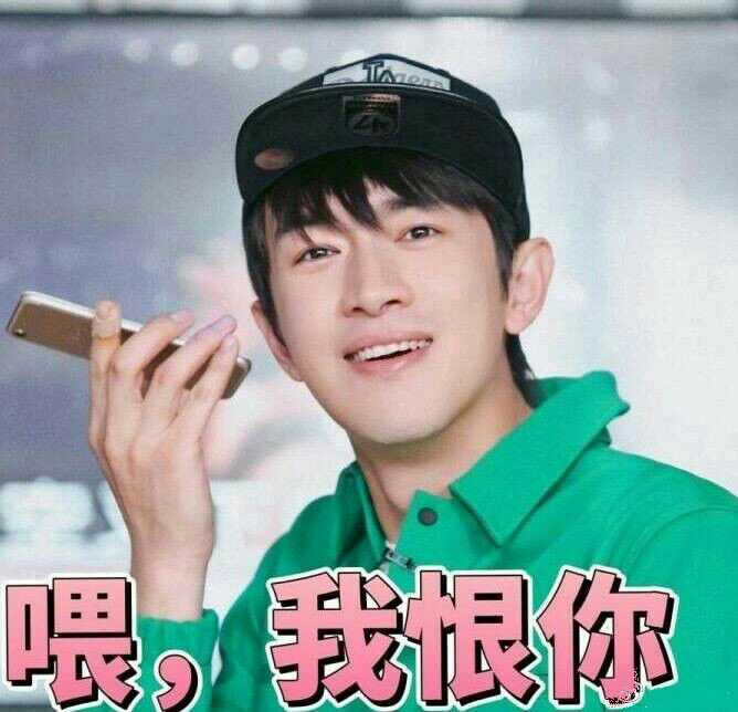 林更新:我恨你们