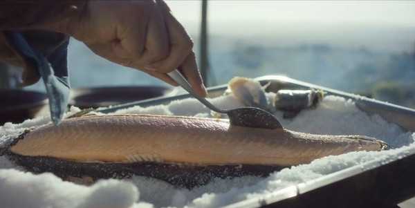 图片20查看更多简介影人:massimo bottura / bill buford / lara