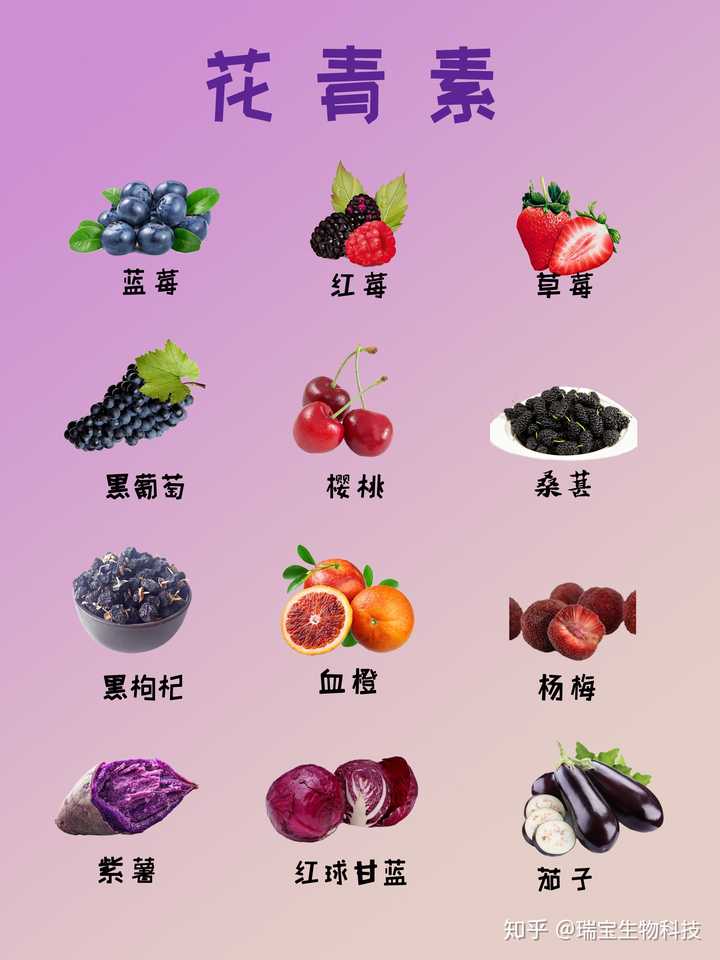哪些成分能够抗氧化 抗衰老 知乎 哪些成分能够抗氧化 抗衰老 知乎
