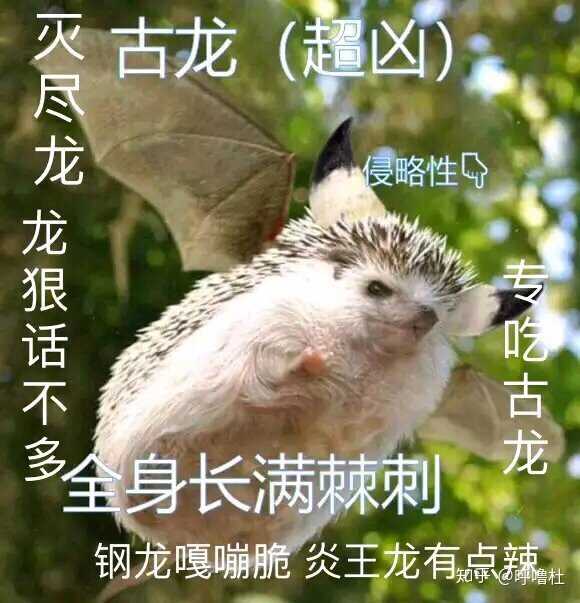 《怪物猎人:世界》中你认为哪款武器的招式最帅?