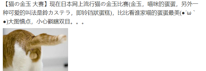 戳完猫蛋蛋是什么感觉 猫又是什么感觉 知乎