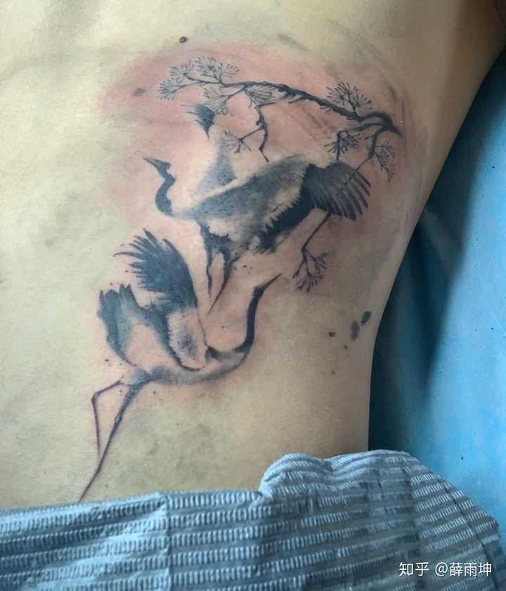 昨天在自己侧腰腹纹的仙鹤