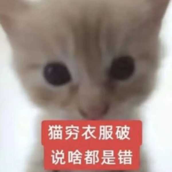 github是什么，有什么用？