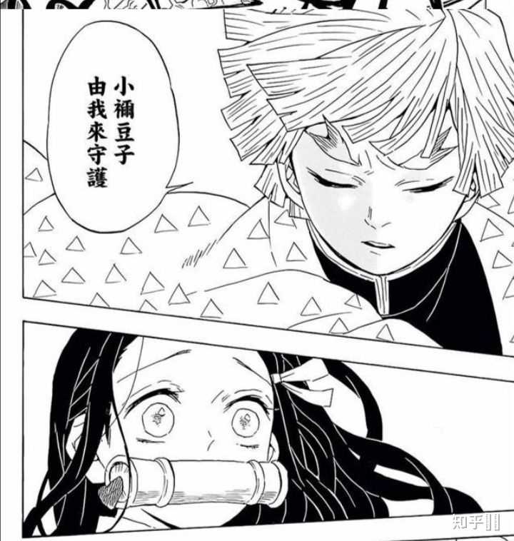 如何评价 鬼灭之刃 结尾我妻善逸与祢豆子的cp 知乎 如何评价 鬼灭之刃 结尾我妻善逸与祢豆子的cp 知乎