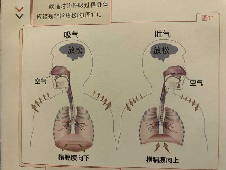 如何才能让歌声更具有穿透力 如何让自己的歌声有穿透力 会务网