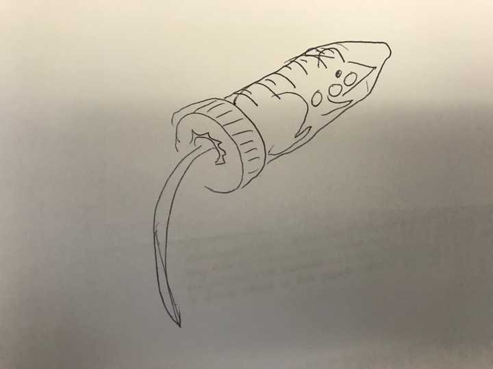 小鼠尾静脉注射操作需要注意什么? - 知乎