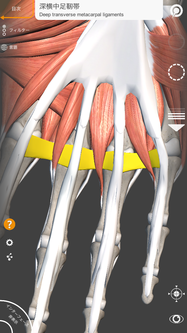 为弹钢琴获得更大的跨度,去做手术把手指间连接处的肉给剪开,你看行不
