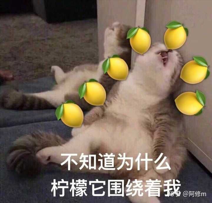 你有哪些让你一秒变开心的表情包?