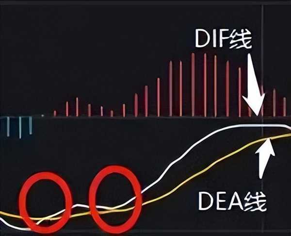 散户因何在牛市都赚不到钱？