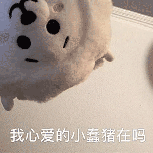 300_300gif 动态图 动图