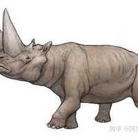 新生代三角龙重脚兽arsinoitherium